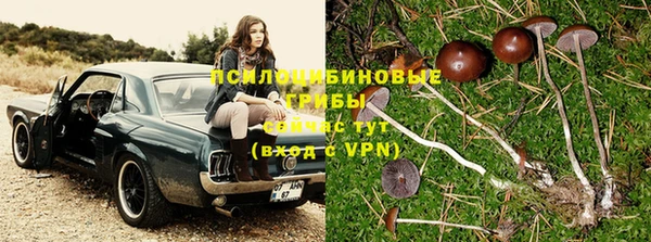 экстази Алзамай