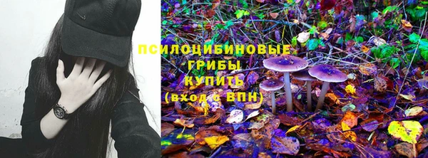 spice Алексин