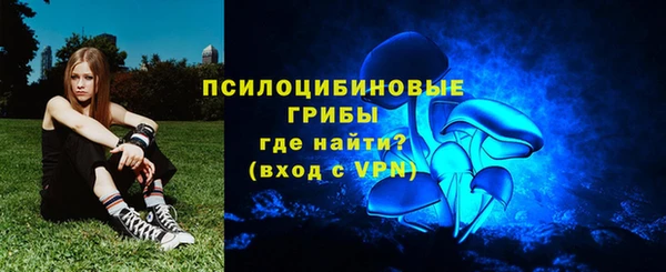 spice Алексин