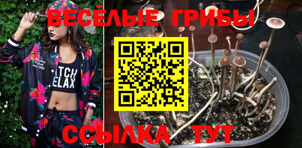Псилоцибиновые грибы мицелий Кемерово